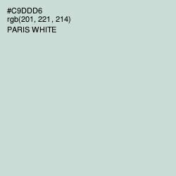 #C9DDD6 - Paris White Color Image